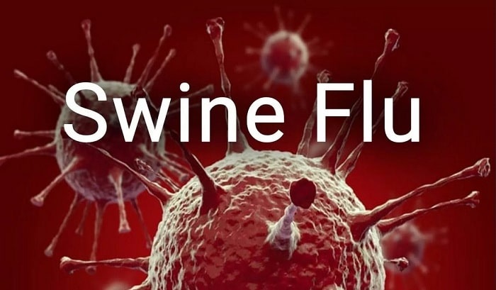 Swine Flu Cases