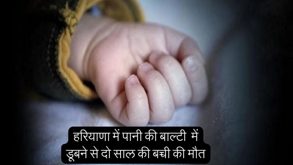Haryana News