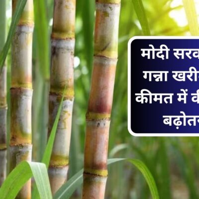 Sugarcane Price