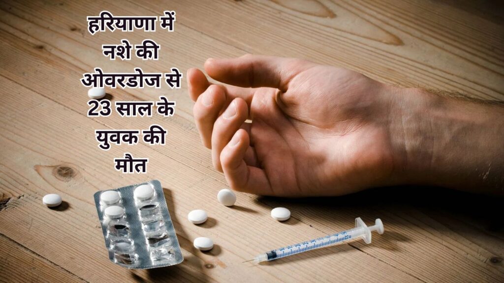 Haryana News
