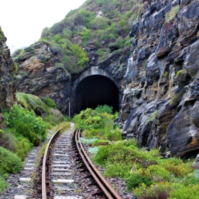 Scenic view of a railway to tunnel through the green-covered rocks