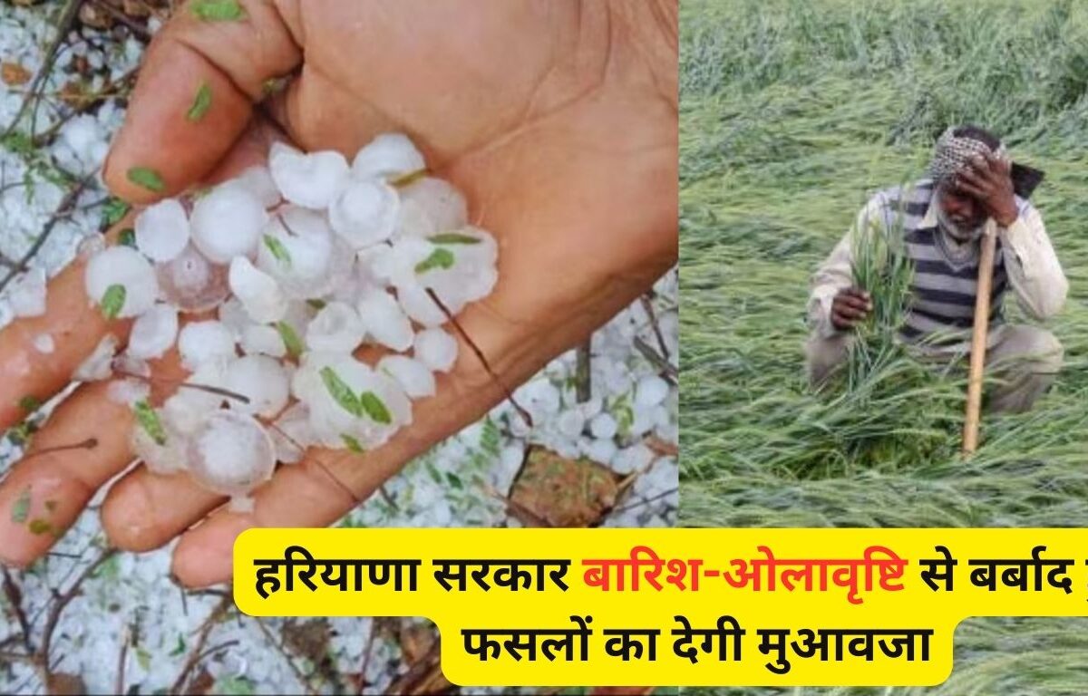 Haryana