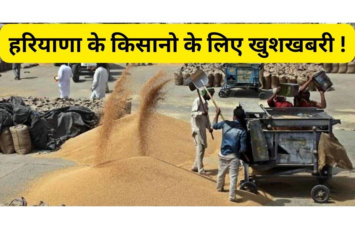 Haryana Farmer News