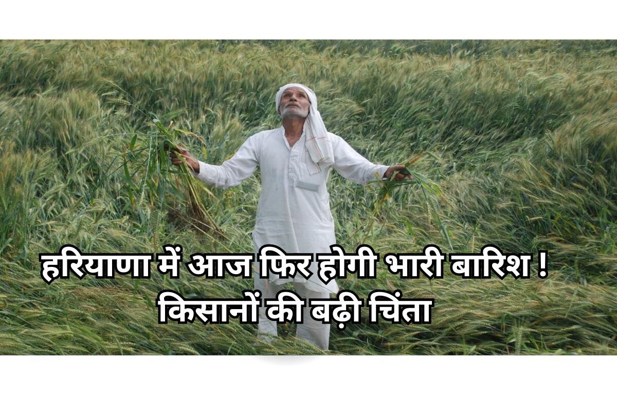 Haryana Weather