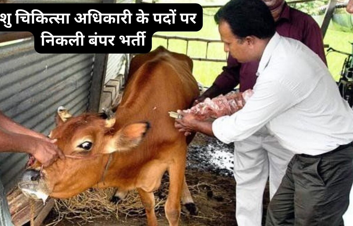 PPSC Veterinary Officer Bharti 2024