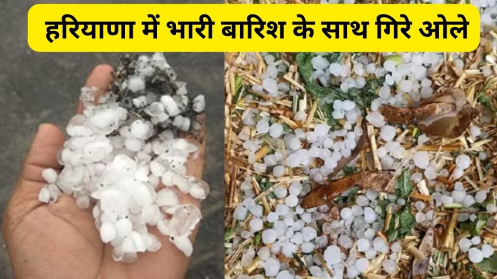 Haryana Weather Update