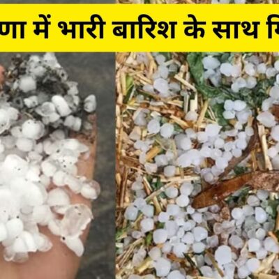 Haryana Weather Update