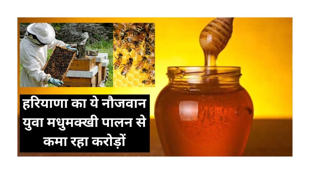 Haryana News
