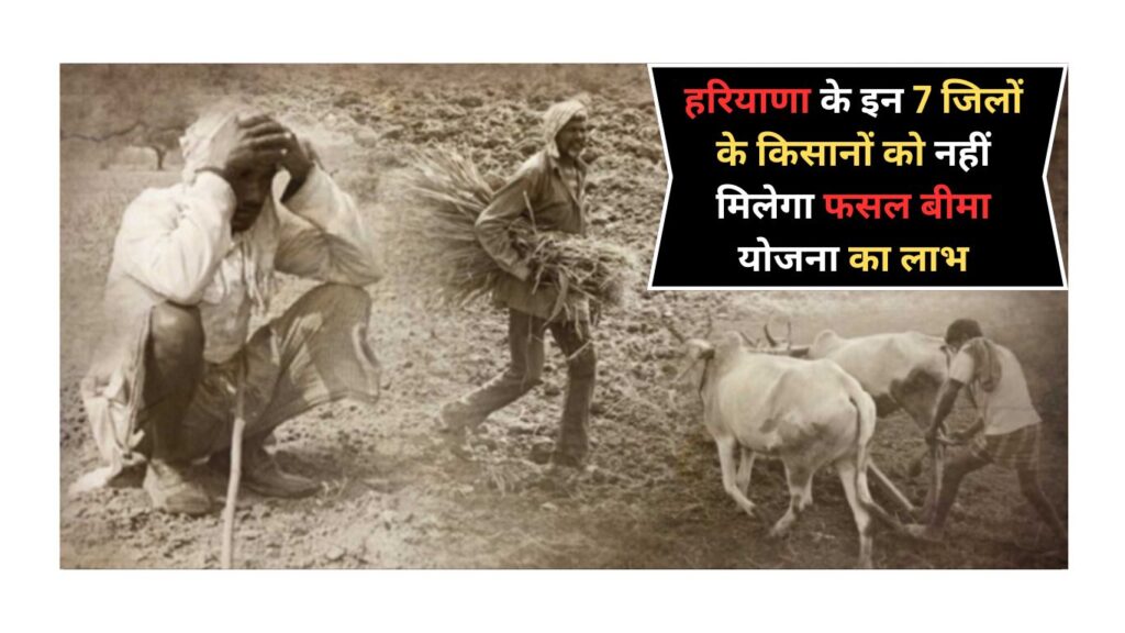 Fasal Bima Yojana