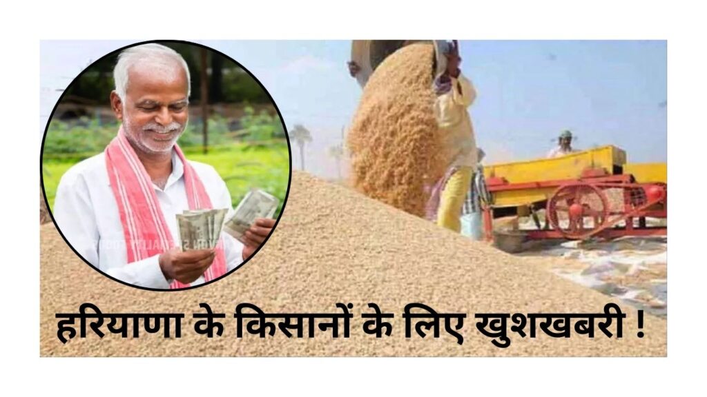 Haryana News