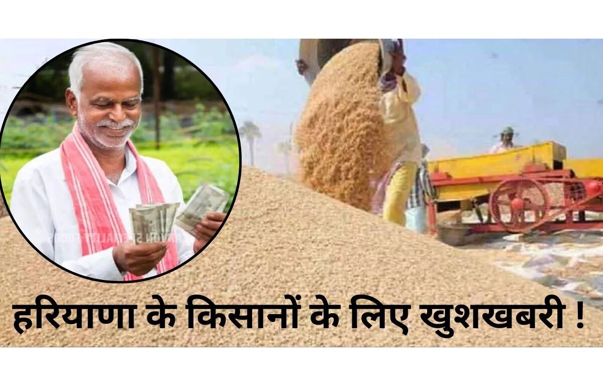 Haryana News