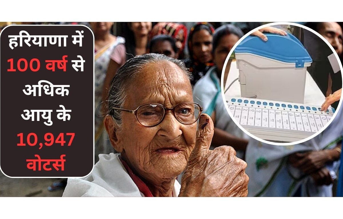 Haryana Elderly Voters