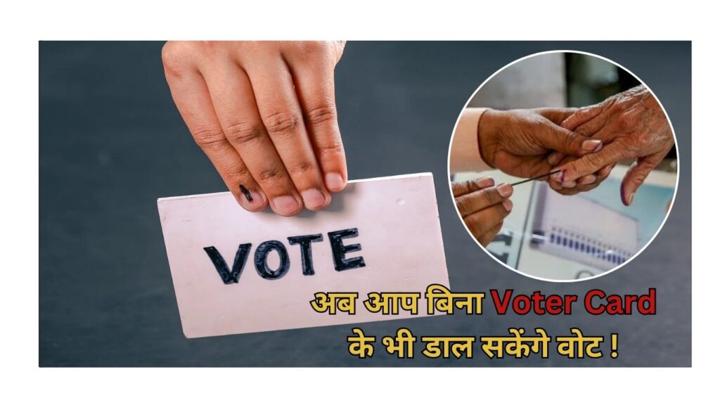 Voter Card
