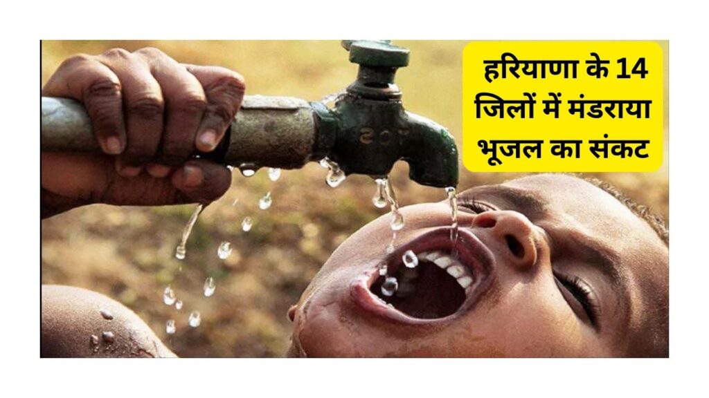 Haryana News
