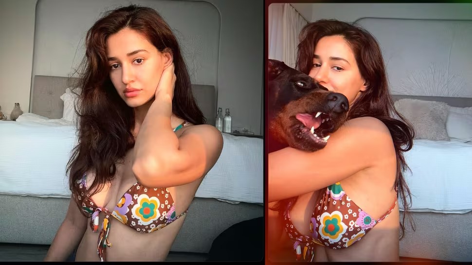 Disha Patani