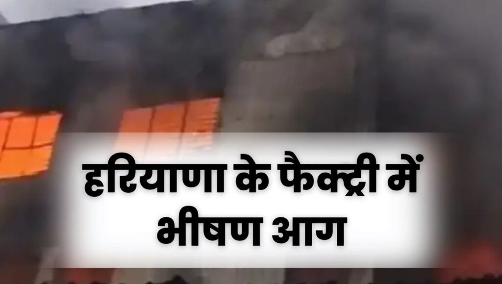 Haryana News