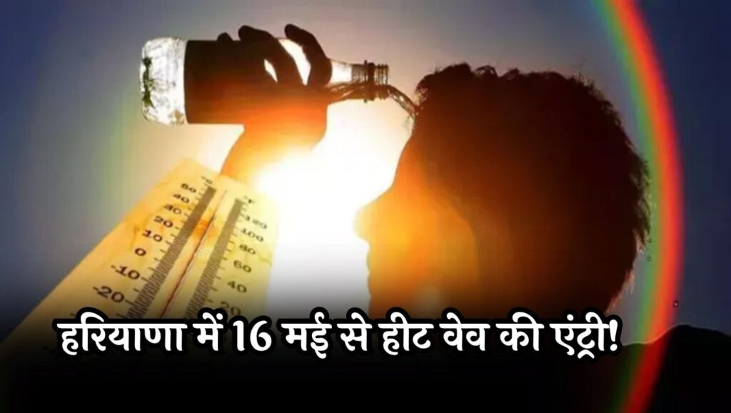 Haryana Weather Update