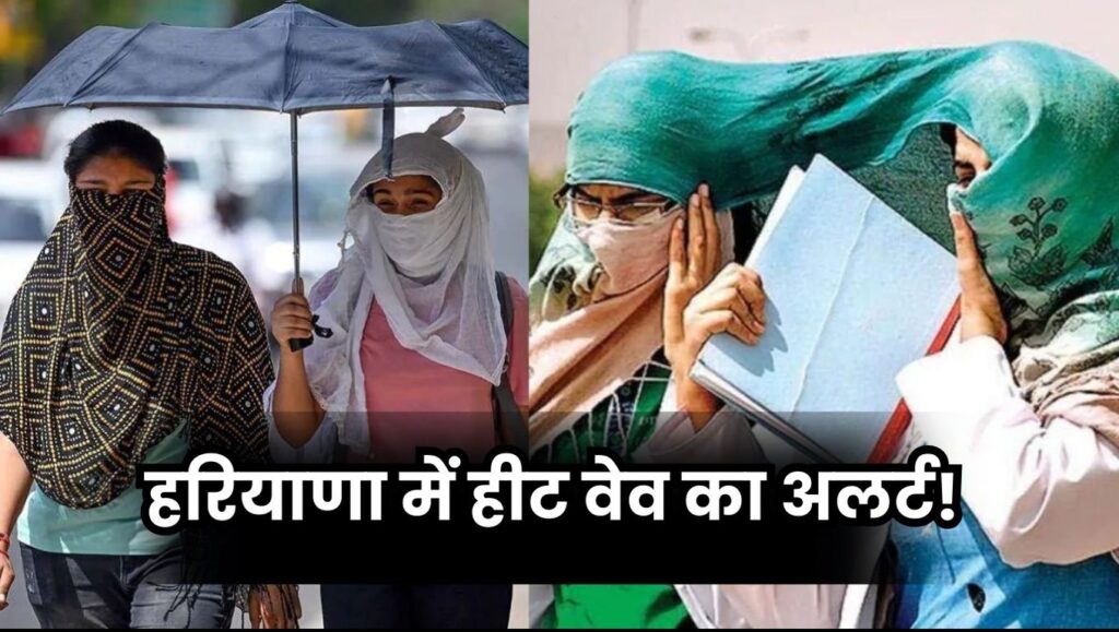 Haryana Weather Alert