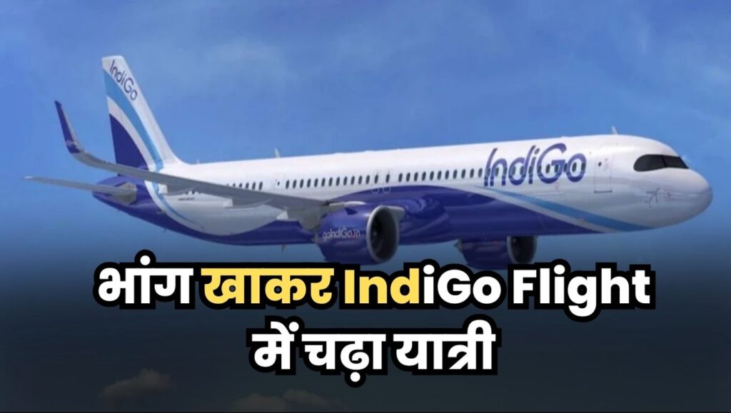 IndiGo Flight