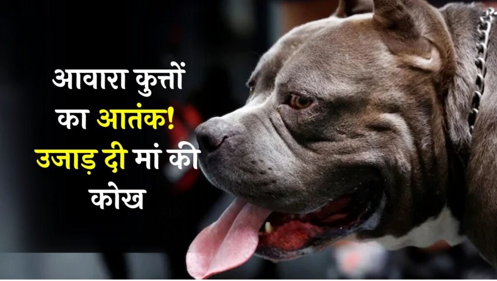 Nagpur Dog Bite: