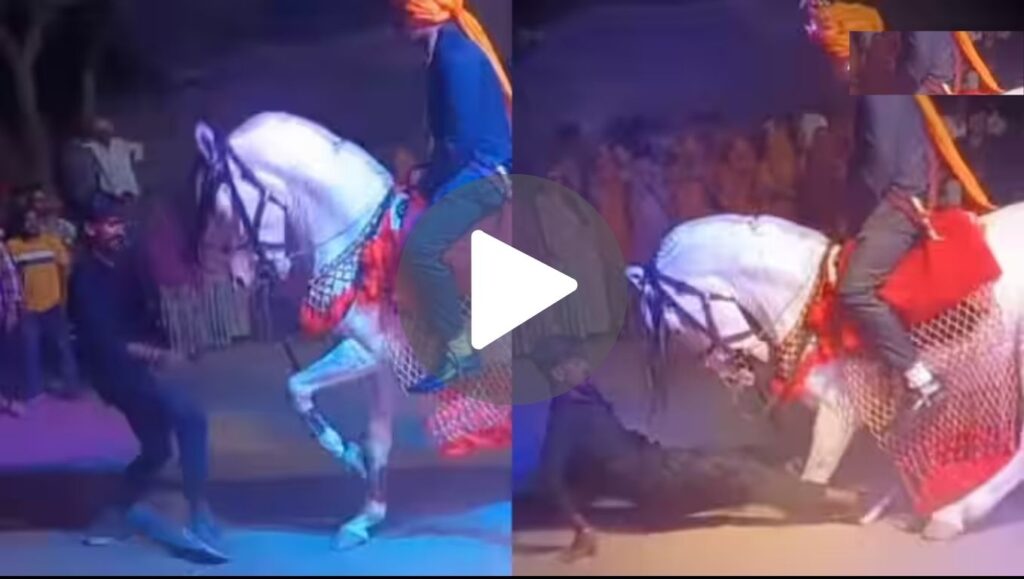 Horse Dance Viral Video