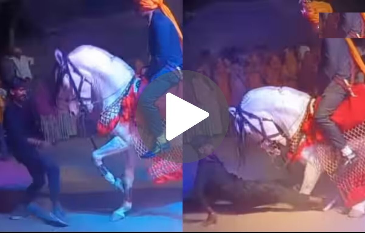 Horse Dance Viral Video